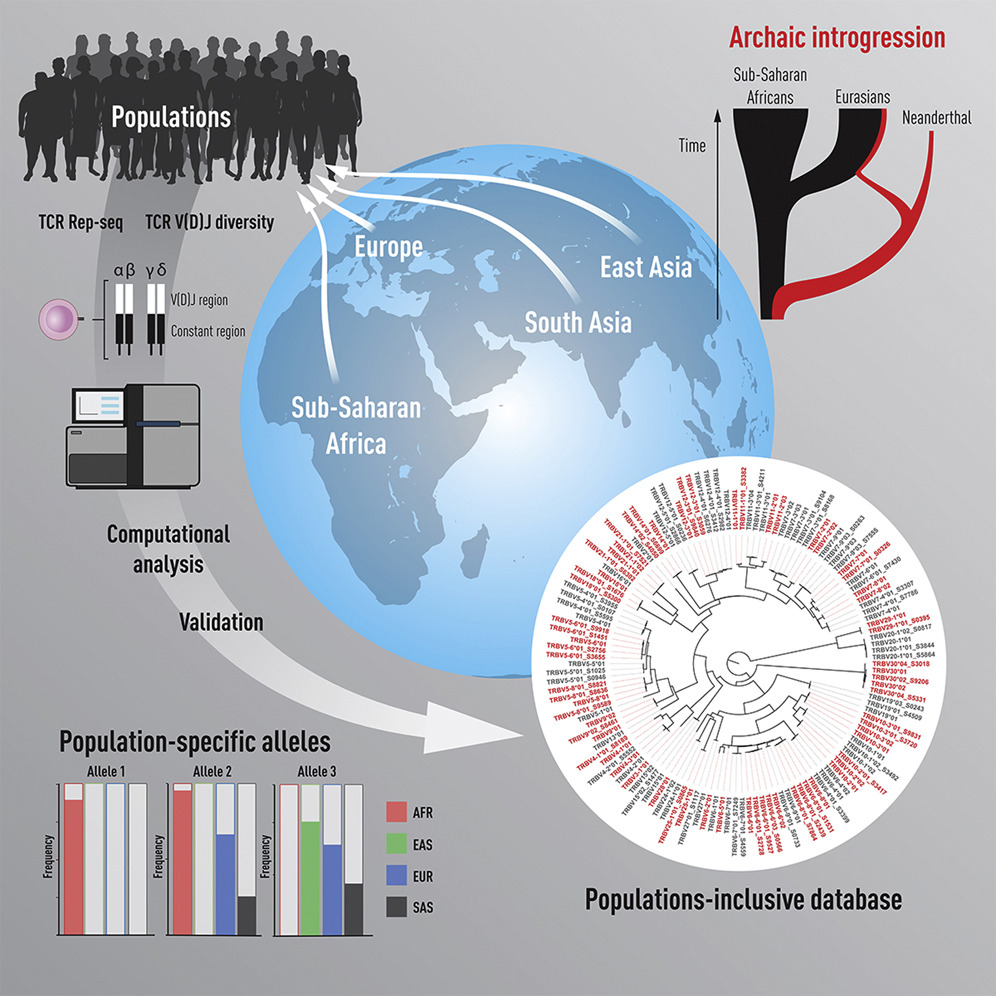 From (Corcoran et al. 2023)