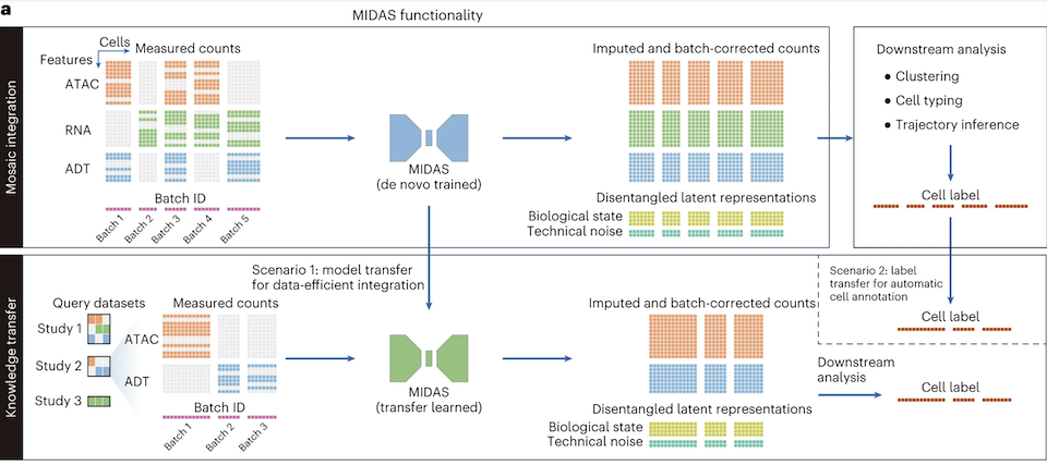 From (He et al. 2024)