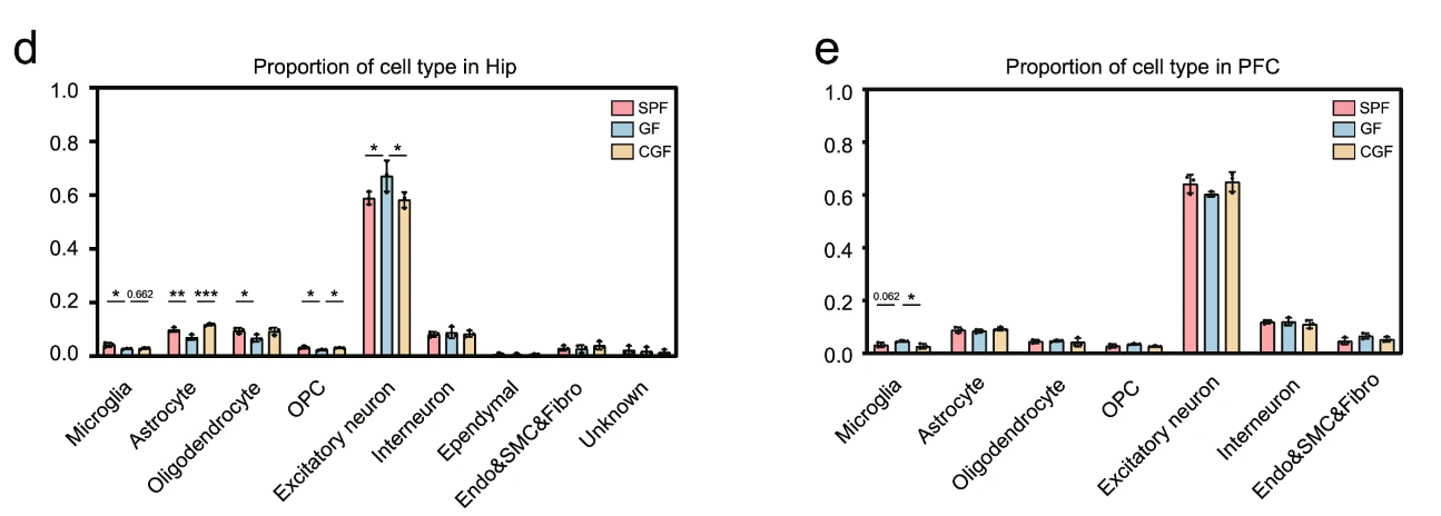 Differences in distribution of microglial subpopulations in the prefrontal cortex (PFC) across different groups of mice: germ-free (GF), specific pathogen-free (SPF), and colonized-GF (CGF). From Huang et al. (2023)