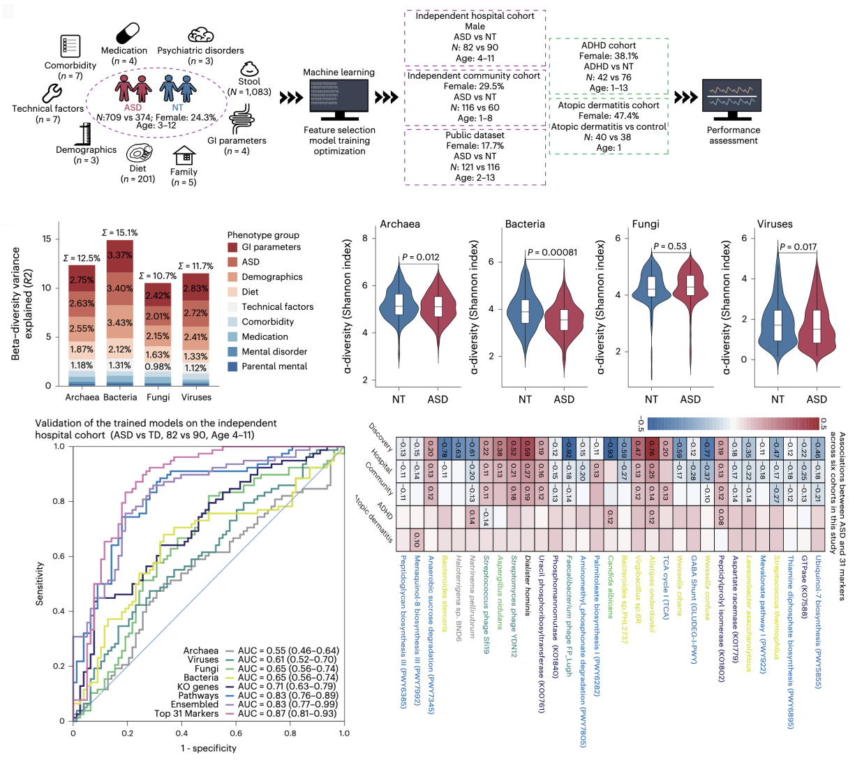 Multikingdom and functional gut microbiota markers for autism spectrum disorder. Su et al. (2024)