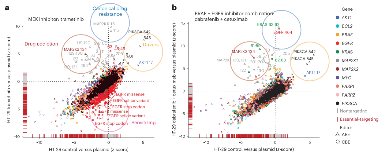 Variants conferring resistance or sensitivity to different combination of drugs + cell lines Coelho et al. (2024)