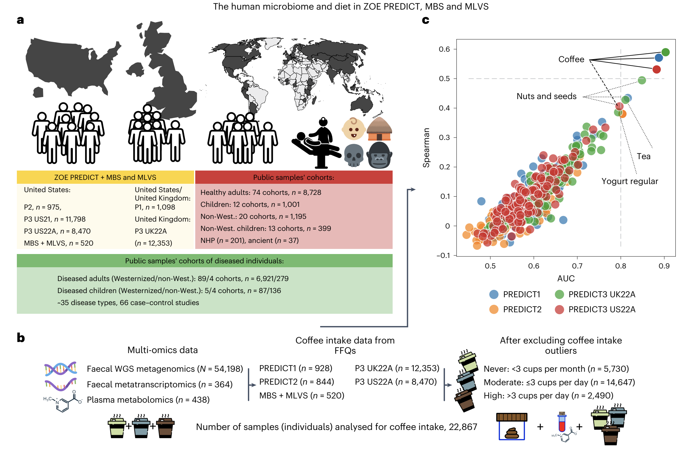 Coffee consumption is associated with intestinal Lawsonibacter asaccharolyticus abundance and prevalence across multiple cohorts. Illustration from Manghi et al. (2024)